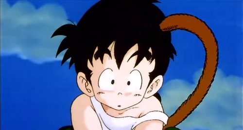 I'm Ritz and I'm *counts* 6, son of @Retinz and @LilyWaterField I'm half saiyan! I like playing and animals... squirrels mostly. #RP #OC