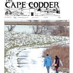 Reporter covering Orleans and Chatham for the Cape Codder - the newspaper you can shake the sand out of.