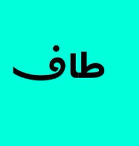 Bio's are always useless ! ALWAYS ✨