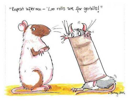 Rats Rule !