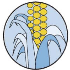 Cornmarket Financial Services is Located in Limerick. Services include - Life & Home Assurance, Mortgages, Pension Advice, Financial Advice & Income Protection