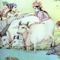 Vrindavan (@vrindavan) 's Twitter Profile