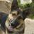 for_people_pets's profile image
