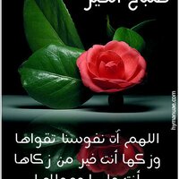 سداد المتعثرات (@sdadbank) Twitter profile photo