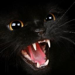 hhhhhhhhhhhhhhhhhhhhhhhhhhhhhhhhhhhhhhhhhhhhhhhhhhhhhhhhhhhhhhhhhhhhhhhhhhhhhhhhhhhhhhhhhhhhhhhhhhhhhhhhhhhhhhhhhhhhhhhhhhhhhhhhhhhhhhhhhhhhhhhhhhhhh