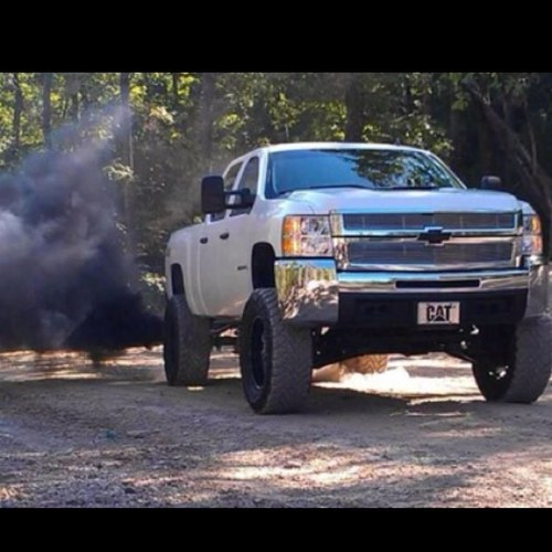 liftedtruckprob's profile picture. 