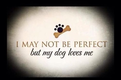 minesaredvino's profile picture. 