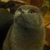 HANDSOME MAN (@handsomeman2013) Twitter profile photo HANDSOME MAN (@handsomeman2013) Twitter profile photo