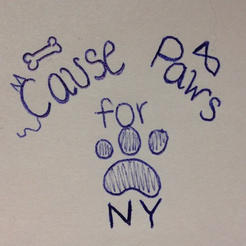 Spreading Awareness about Animal Cruelty and Neglect.
Lets make an effort to END IT!
