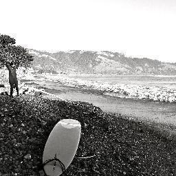 Marine ecologist, surfer, mom. Working with @savingoceans to safeguard marine biodiversity. Tweets my own.