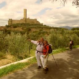 ricercadelvolto's profile picture. 