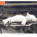 Randy Mayfield - @MaoKong - Twitter