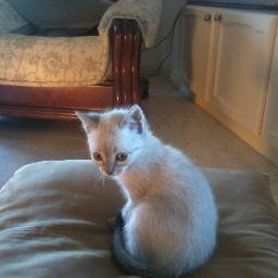 George45615's profile picture. 