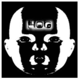 hog birmingham Profile