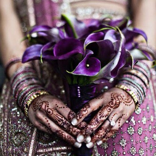 ChandraKantidd's profile picture. 