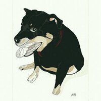 stuart bennett (@stuartbennett3) 's Twitter Profile