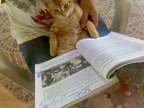 sia_natasa's profile picture. Without music life would be a mistake. ~Friedrich Wilhelm Nietzsche