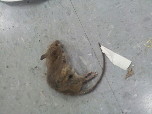 Thinkingerror's profile picture. 