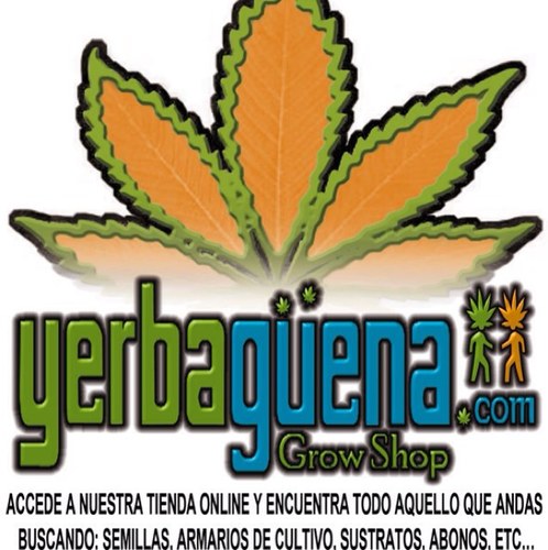 Yerbaguena_Grow's profile picture. Dedicados al cultivo de plantas