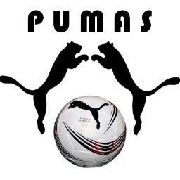 Twitter oficial de Los Pumas Fútbol Club, equipo de fútbol sala nacido en Granada, doble subcampeón del Patronato.