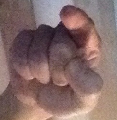 nogutitakahiro's profile picture. bot化したので、アカウントを変えます。→@nomikomareta