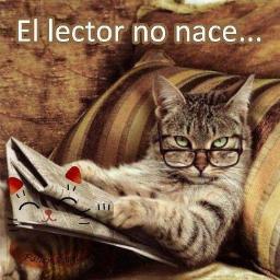 elhogardellibro's profile picture. Una morada de sabiduria y crecimiento personal