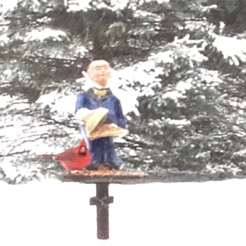 b_ottinge's profile picture. 