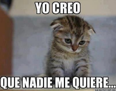 miquito68's profile picture. 