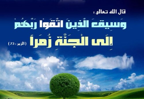 ❤إنهآ الجنةُ تبغي ثمناً❤ صدقه جاريه لي ولأختي ووالدي ووالدتي وأخوتي وعائلتي وأمواتنا وأموات المسلمين (لعلّي أبلغ به الجنه)