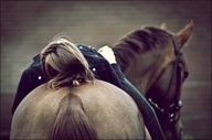 Just a wild southern girl in love with natural horsemanship and making new friends. Follow me, dm me, God Bless :)