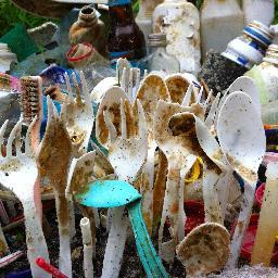 MCleanBeaches's profile picture. A research biologist dedicated to turning #awareness into action. #promisesintopractices on #marinelitter, #plasticspollution and #science issues #mcblifestyle