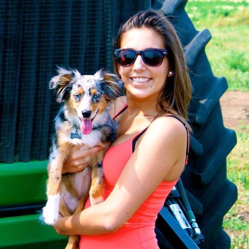 the everyday tales of a Minnesota girl that married South Dakota farmer . but mostly photos of our sidekicks Vinny & Addy 🐾
