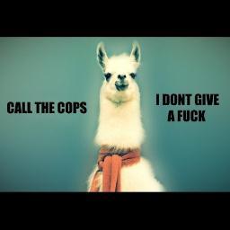 If you aren't saying it, you're thinking it