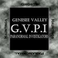 GVPI (@gvpinvestigator) 's Twitter Profile