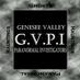 GVPI (@gvpinvestigator) Twitter profile photo