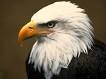 New Castle United.  St. Louis Cardinals. Dallas Cowboys.  Libertarian Republican
