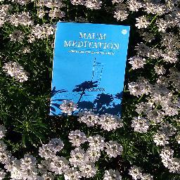 Subtraction, Finding True self, Stress-free, Woo Myung, Hiking, Puget Sound, Seattle, Coffee,                   http://t.co/4kYOVoHm84 #Meditation