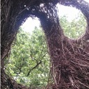 Eric Kaiser - @vladigogo - Twitter