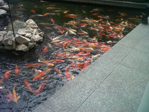 Chriseduand's profile picture. 