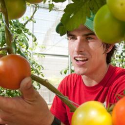 #Hydroponic #Growing Yeah Baby!