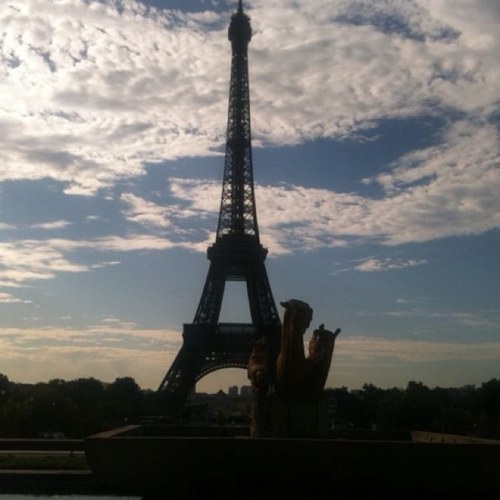 AytlRedon's profile picture. 