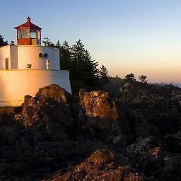 McnivennsWenger's profile picture. 