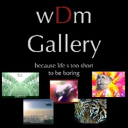 wDmさんのプロフィール画像