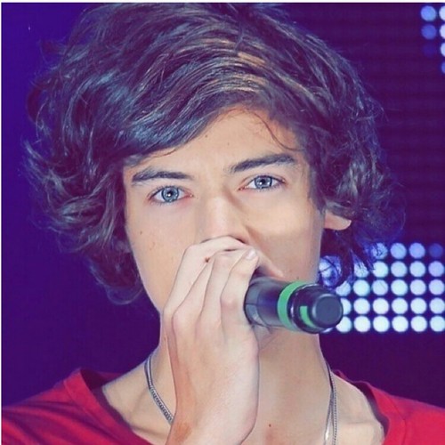 can't see my husbands cause I can't afford concert tickets / Larry forever y'all #teambullshit / I follow back