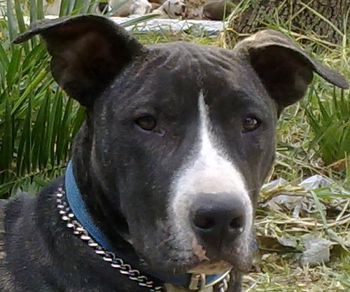 Mahonri_Guzman's profile picture. 