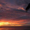 tamanna haque - @tamz_tamanna - Twitter