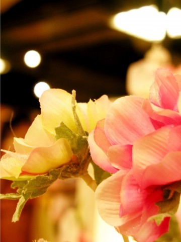 kirei_lady's profile picture. 美容・ダイエットに関する事をつぶやいてます。
これらに興味のある方フォローしてください。ダイエッターさんなら100%フォローさせていただきます。