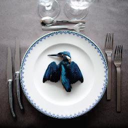 worderson's profile picture. 