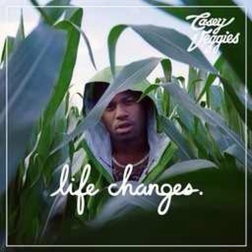 Official Fan Page For @CaseyVeggies follows on 11/2/12 
Be Sure to Download Life Changes http://t.co/CvHjdcOc