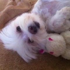 acutl's profile picture. 